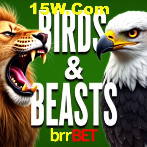 A Experiência Imersiva dos Cassinos Ao Vivo no brrbet